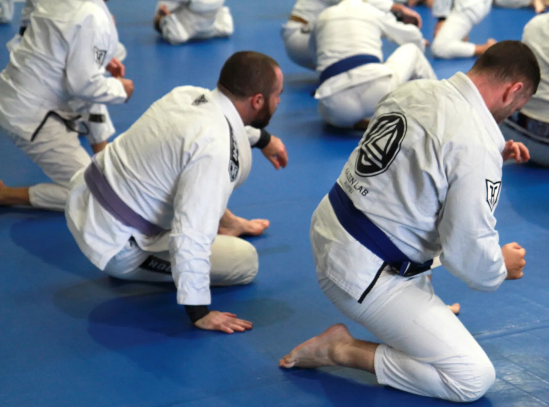 Brazilian Jiu-Jitsu and Self Defence training